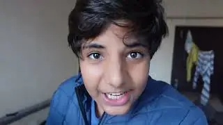 Dog vlog