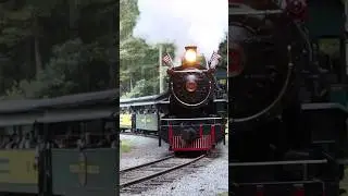Tweetsie Railroad #190 Heritage Weekend Photo Run-by up the grade 2024 #train #fyp #tweetsierailroad