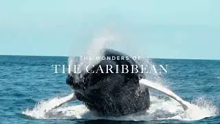 Escape to the Caribbean this winter aboard The Ritz-Carlton Yacht Collection