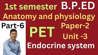 BPED physical education 1st semester anatomy paper-2,unit-3. #physicaleducation. PET odisha.