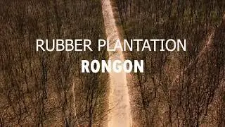Memo Lake | Rubber Plantation - Drone View! #Williamnagar #EastGaroHills #djimavicmini