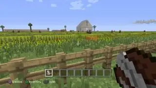 Minecraft: History Project
