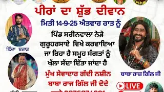 ਚੇਲਾ ਦੋਦੇ ਵਾਲੇ ਦਾ ਵੇਖ ਪਟਾਕੇ ਪਾਉਂਦਾ/baba Raj gill ji Dode wale 9876874991 #babarajgillji 