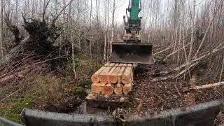 Flooding a Forest. Building Dams in a Creek. Operator View Timelapse