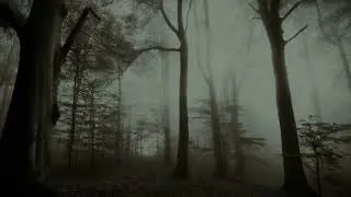Autumn's Grey Solace - Shadows of Moonlit Nights Türkçe Çeviri
