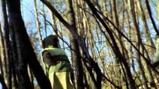El Petit de Cal Eril - Cau la neu (videoclip oficial, 2010)