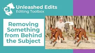 Removing Something from Behind the Subject - Dog Photography Editing