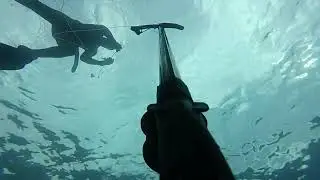 Chasse sous marine Menton garavan &eacute;t&eacute; 2023
