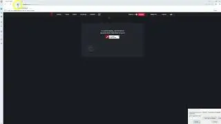 How to enable Flash Player in Opera – [EN]