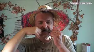Jaw harp - Petrel, stainless by Glazyrin - Key D2, Full review.