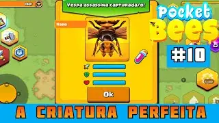 CONSEGUI A VESPA ASSASSINA COM STATUS PERFEITO NEM ACREDITO !! Pocket Bees : Simulador de Col&ocirc;nia