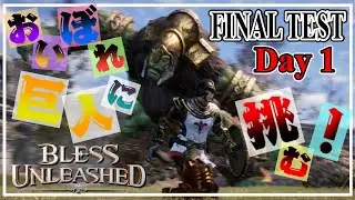 【ブレスアンリーシュド】Bless Unleashed PC Final Test CLASS『Priest』Playing