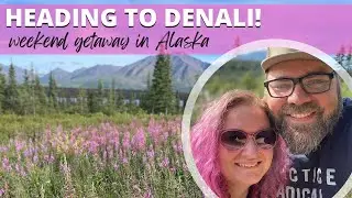 Heading to Denali! Seeing the Mountain & Exploring the McKinley Chalet Resort!