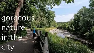 Morningside Park, Highland Creek Trail, Scarborough