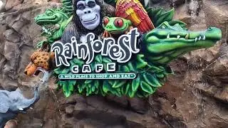 Inside Rainforest Cafe at Disney Springs Disney World Orlando