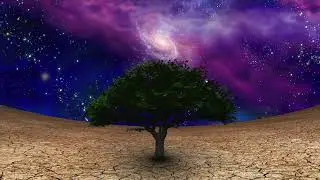 The Tree of Life   C L  Moore
