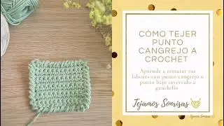 Cómo tejer punto cangrejo o punto bajo inverso a crochet para tus remates.