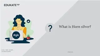 What is Horn silver?