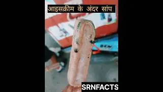 आइसक्रीम के अंदर निकला सांप 🐍 #shorts Snake found inside the icecream news @srntejfacts