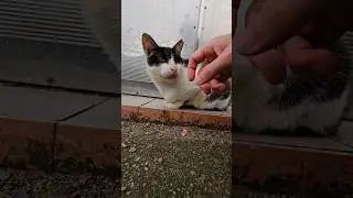 Давайте поменяемся местами и продолжим 😹