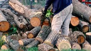POV Electric Chainsaw & Axe ASMR &ndash; Cutting Firewood in Quiet Village Life