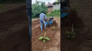 D531 RTF (Rear Power Tiller or Rear Power Weeder