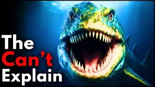 Why Deep Sea Animals Become Monstrous the Deeper You Go