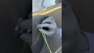 Kovax Scratch Removal on This Black Paint! 💎 | Satisfying Detail