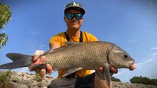 Drove 1400 km to Fish For Spillway MONSTER FISH!  New Species Caught!  618 Fishing Illinois EP 1