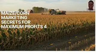 MAIZE CORN MARKETING SECRETS FOR MAXIMUM PROFITS 4: Tutorial: Florence Alimo: Living Hope Mixed Farm