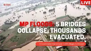 MP Floods: 5 bridges collapse; thousands evacuated | NewzBeats