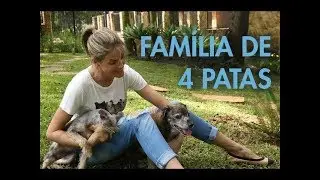 TOUR PELO MEU CANIL | ANA HICKMANN