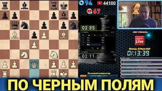 Шахматы блиц. Кирдык по черным полям
