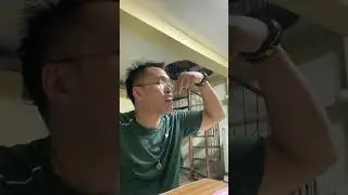 eating cake red velvet dessert@YousufHo#SEO
