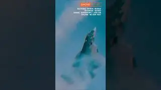 Sukhoi SU-57 Stealth Multirole Fighter Aircraft