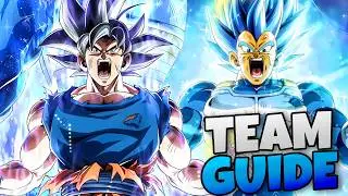 PHY LR UI Goku & Evolution Vegeta - Best Team Builds & Partners
