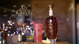 How to make a XO Collins - St Agnes Brandy Cocktail Recipes