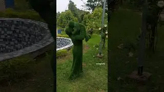 so beautiful🥰 #beautifulgarden #garden #lovingplanta #nature #shorts #viral #trending