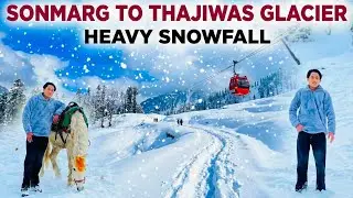 Sonmarg to Thajiwas Glacier Trek | Complete Tour Guide 2026 | Heavy Snowfall in Thajiwas Glacier