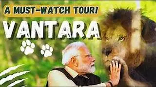 PM Modi inaugurates wildlife rescue, rehabilitation, and conservation centre, Vantara | Ambani