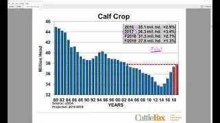 CattleFax Trends+ Webinar- August 30th, 2017