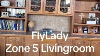 My BRCA2 Journey w/ FlyLady #brca #doublemastectomy #genetictesting #prepare #flylady #routines