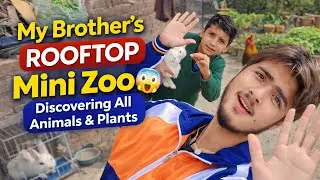 My Brother&rsquo;s Rooftop Mini Zoo 😲 | Animals & Plants Vlog