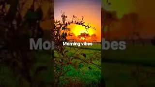 good morning vibes.            #goodmorning #village #viral #video