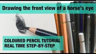 Drawing horses eyes with coloured pencil - the front view