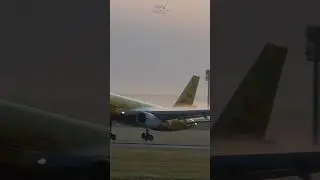 DHL Boeing 757 lands at Stuttgart airport | wing condensation | #shorts