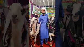 Bade Bhari Bakre #shorts #eidmubarak #bakraeidspecial #bakraeid2023 #qurbanistatus #viral