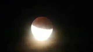 Partial Lunar Eclipse - Partielle Mondfinsternis 2019-07-16/17