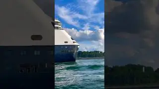 Sailboat Hits MASSIVE Cruise Ship Wake 🌊 😳 #cruise #cruiseship #shorts