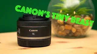 Canon RF 16mm f/2.8 Review | The Tiny Lens That Surprised Me at a Wedding